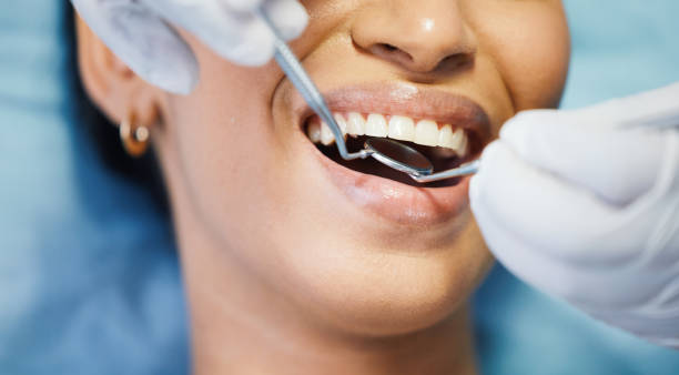 Best Emergency Cosmetic Dentistry (e.g., broken veneers) in Flat Rock, MI