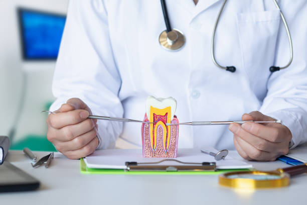 Best Urgent Dental Care for Toothaches in Flat Rock, MI